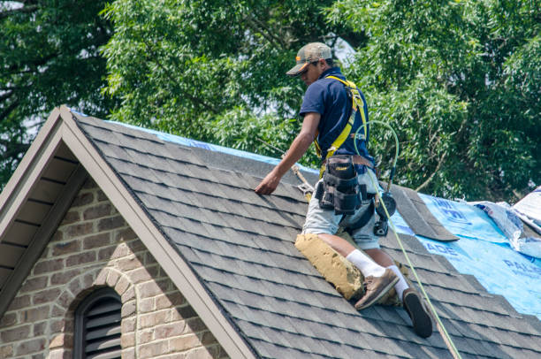 Quick and Trustworthy Emergency Roof Repair Services in Baltimore, MD
